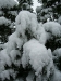 snow06apr08_23