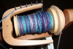 Spinning WIPs