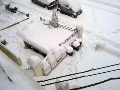 Snow - 02-12-2010