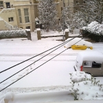 Snow - 02-12-2010