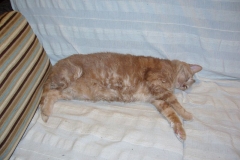 Project 365: \'08 - \'09