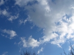 2009-03-29